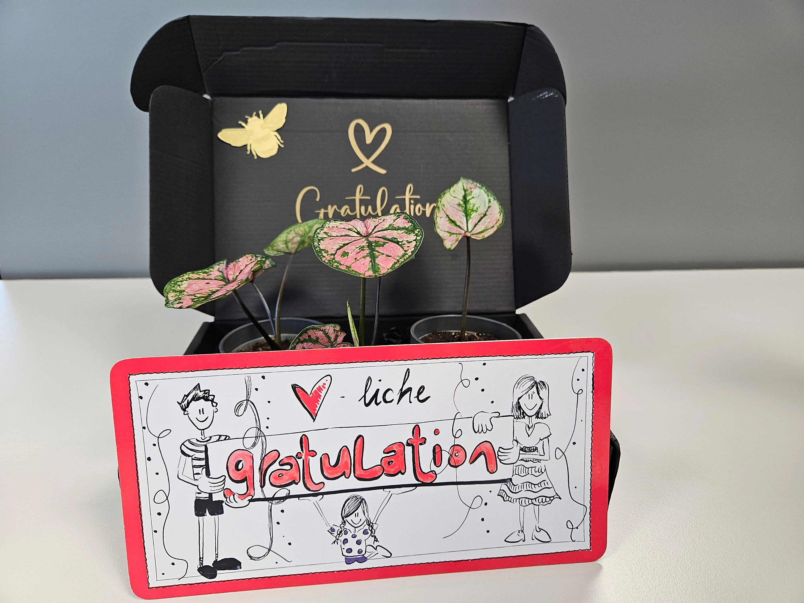 zihler herzliche gratulation 4 2024 07 08