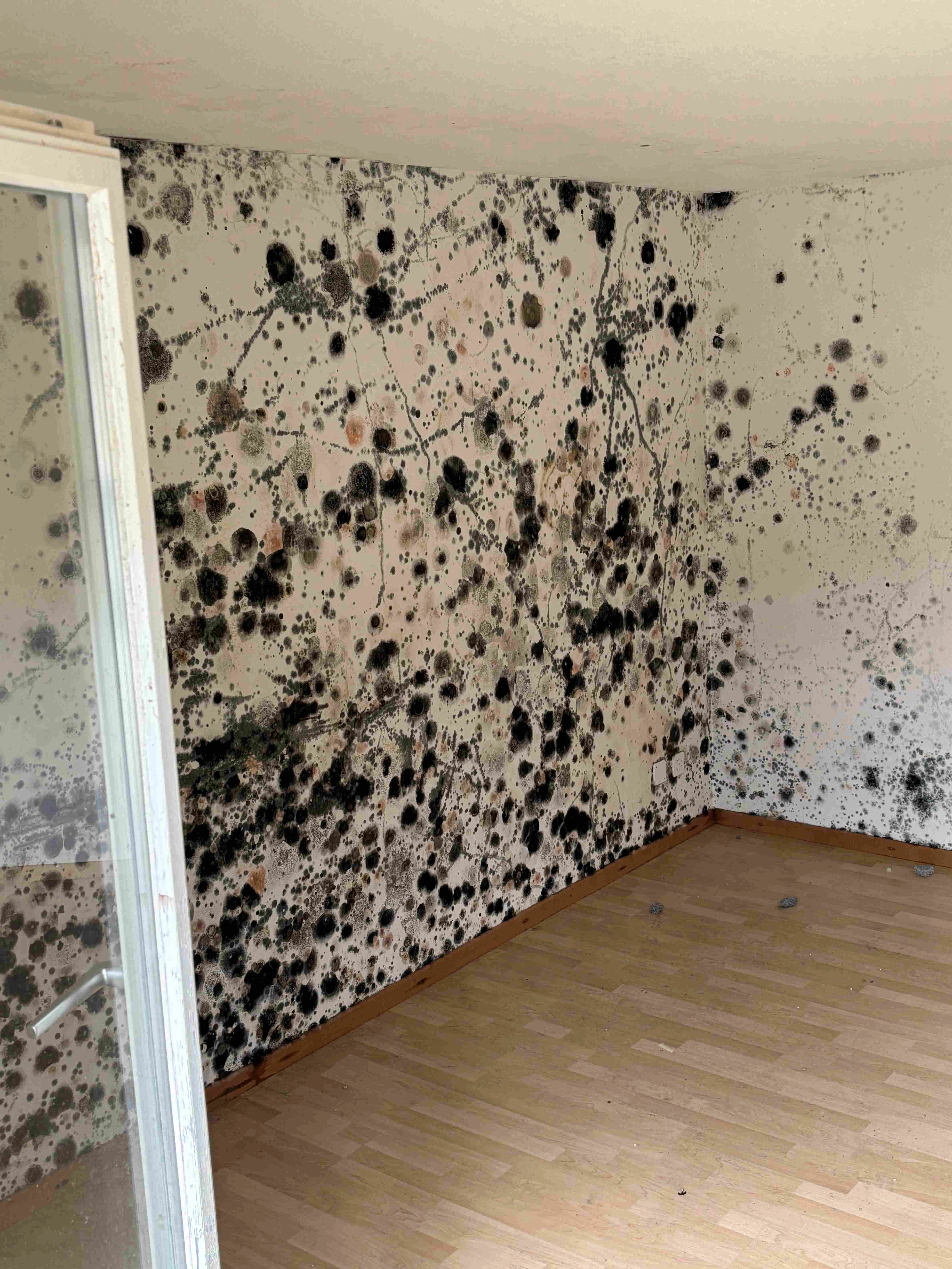 zihler mfh sanierung r&ouml;tistrasse innen